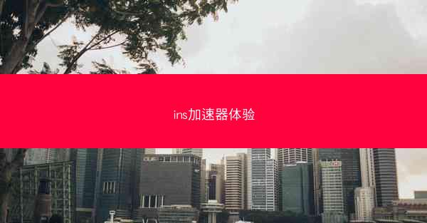 ins加速器体验