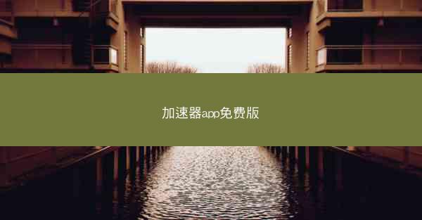 加速器app免费版