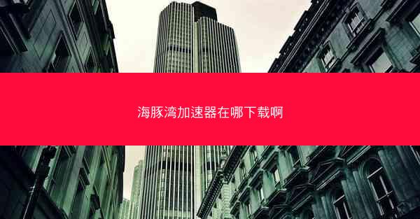 海豚湾加速器在哪下载啊