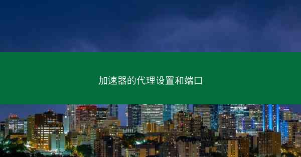 加速器的代理设置和端口