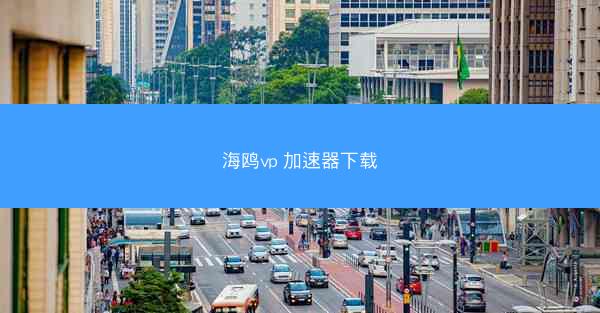海鸥vp 加速器下载