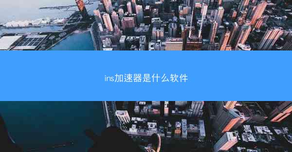 ins加速器是什么软件