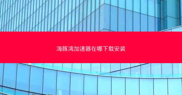 海豚湾加速器在哪下载安装