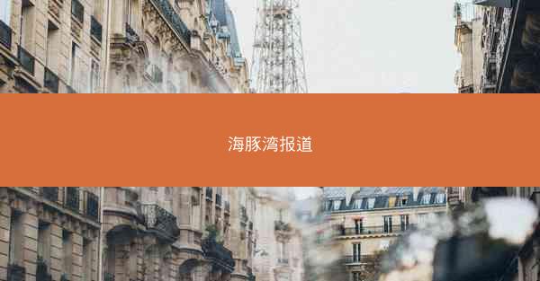 海豚湾报道