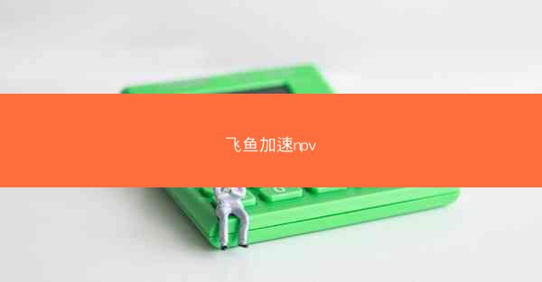 飞鱼加速npv