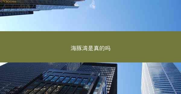 海豚湾是真的吗