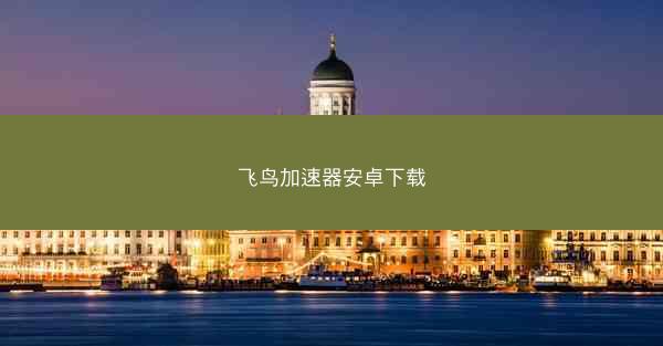 飞鸟加速器安卓下载