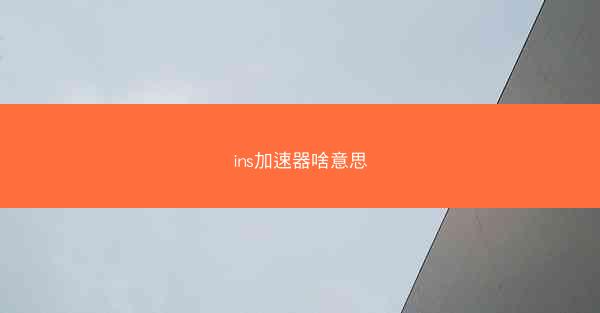 ins加速器啥意思