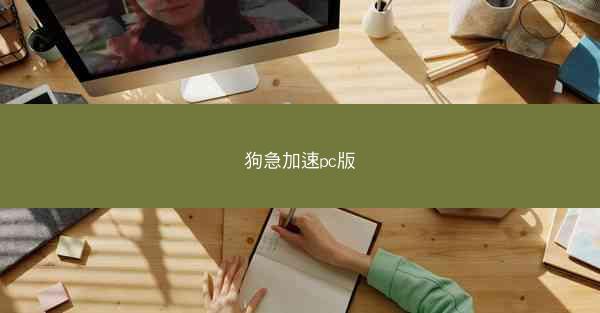狗急加速pc版