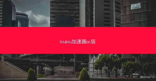 biubiu加速器pc版