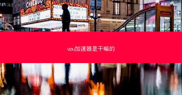 vpu加速器是干嘛的