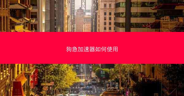 狗急加速器如何使用