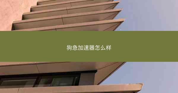 狗急加速器怎么样