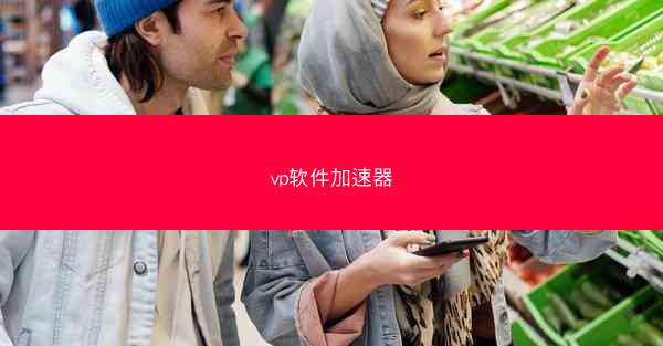 vp软件加速器