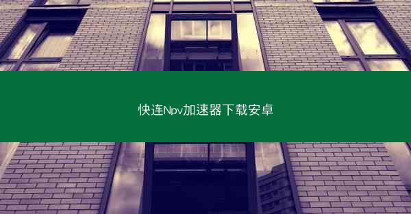 快连Npv加速器下载安卓