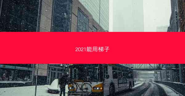 2021能用梯子
