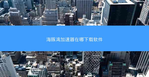 海豚湾加速器在哪下载软件