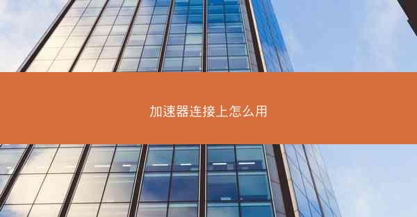 加速器连接上怎么用