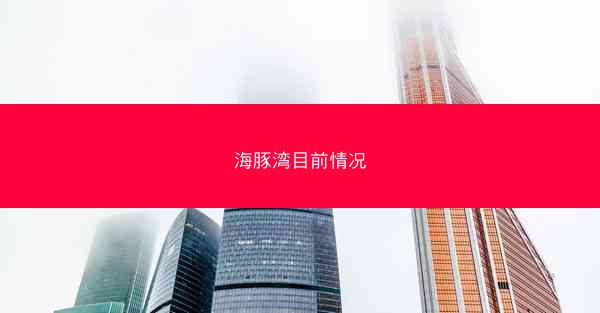 海豚湾目前情况