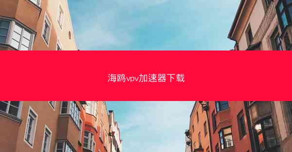 海鸥vpv加速器下载