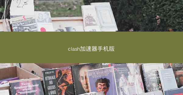 clash加速器手机版