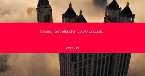Seagull accelerator v6.5.0 cracked version.