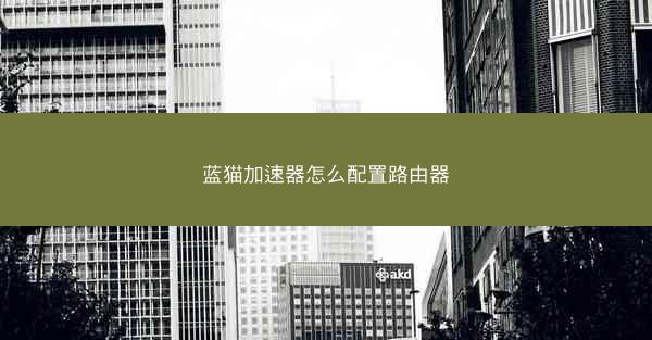 蓝猫加速器怎么配置路由器