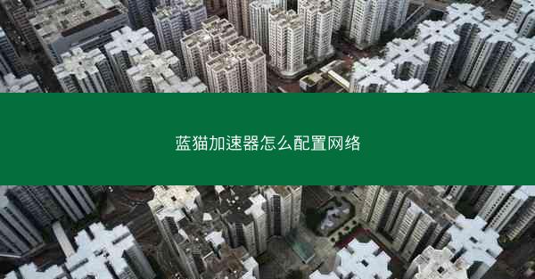 蓝猫加速器怎么配置网络