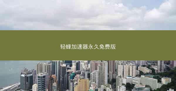 轻蜂加速器永久免费版