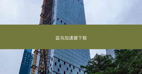 蓝鸟加速器下载