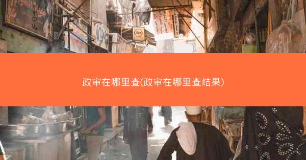 政审在哪里查(政审在哪里查结果)