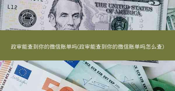 政审能查到你的微信账单吗(政审能查到你的微信账单吗怎么查)