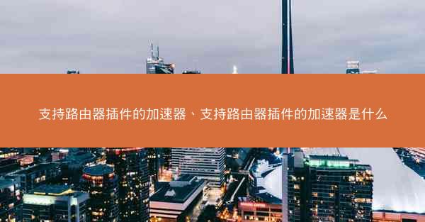 支持路由器插件的加速器、支持路由器插件的加速器是什么