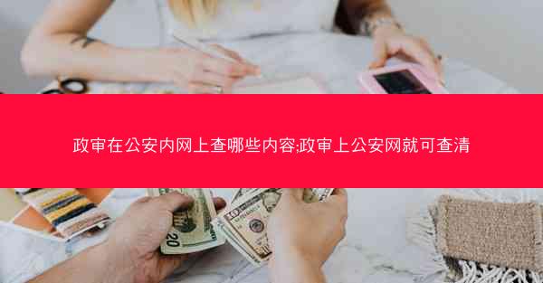 政审在公安内网上查哪些内容;政审上公安网就可查清