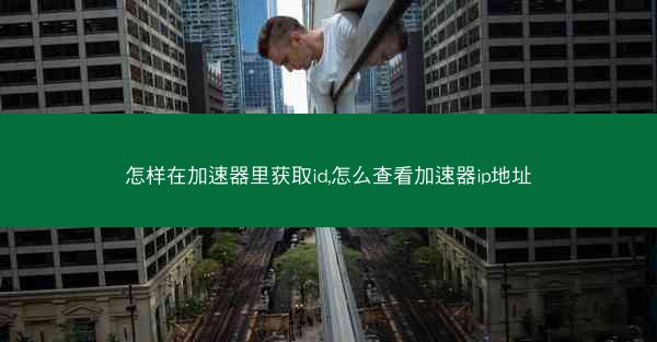 怎样在加速器里获取id,怎么查看加速器ip地址