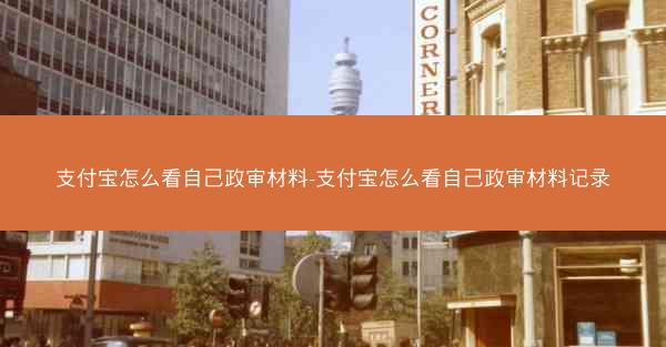支付宝怎么看自己政审材料-支付宝怎么看自己政审材料记录