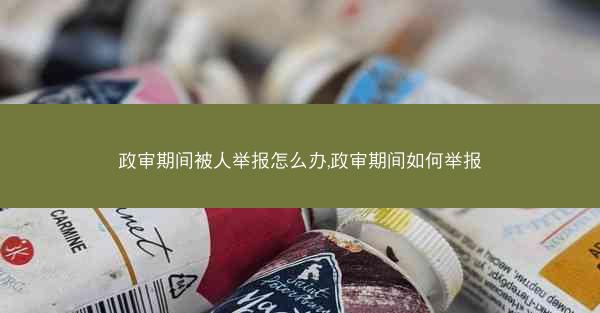 政审期间被人举报怎么办,政审期间如何举报
