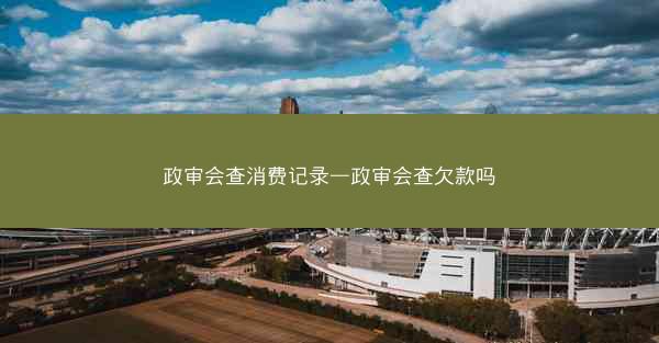 政审会查消费记录—政审会查欠款吗