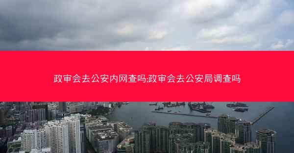 政审会去公安内网查吗;政审会去公安局调查吗