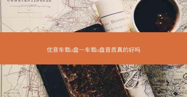 优音车载u盘—车载u盘音质真的好吗