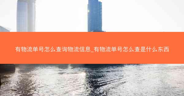 有物流单号怎么查询物流信息_有物流单号怎么查是什么东西