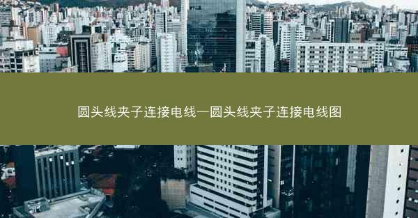圆头线夹子连接电线—圆头线夹子连接电线图