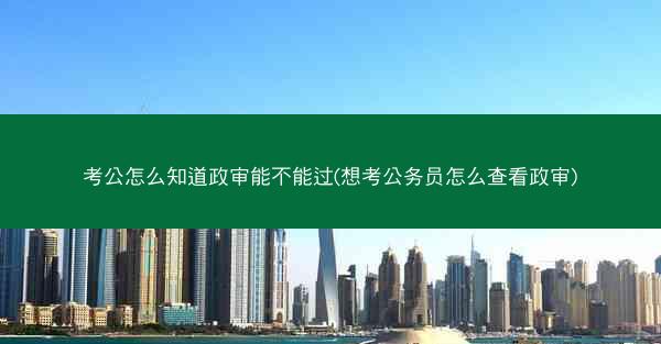 考公怎么知道政审能不能过(想考公务员怎么查看政审)
