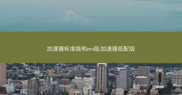 加速器标准版和pro版;加速器低配版