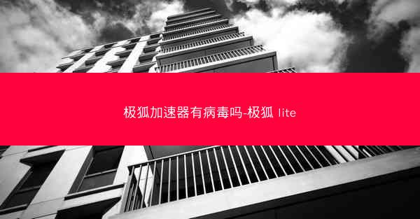 极狐加速器有病毒吗-极狐 lite