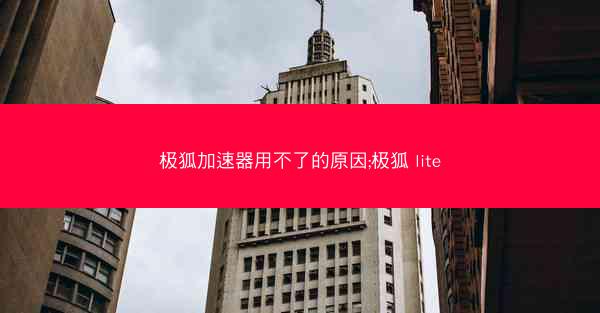 极狐加速器用不了的原因;极狐 lite