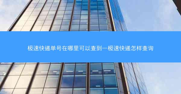 极速快递单号在哪里可以查到—极速快递怎样查询