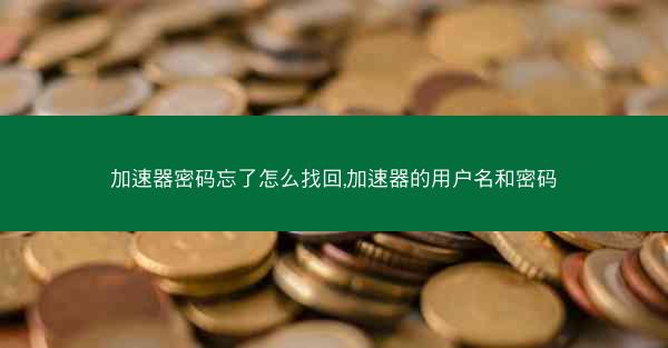 加速器密码忘了怎么找回,加速器的用户名和密码