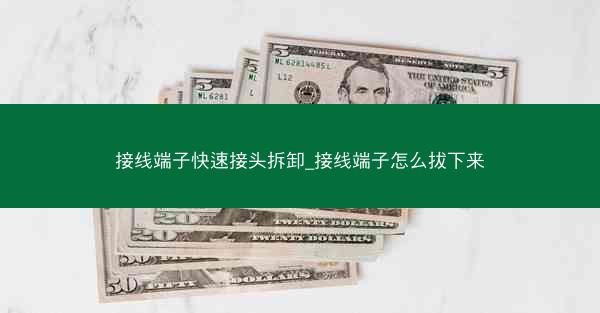 接线端子快速接头拆卸_接线端子怎么拔下来