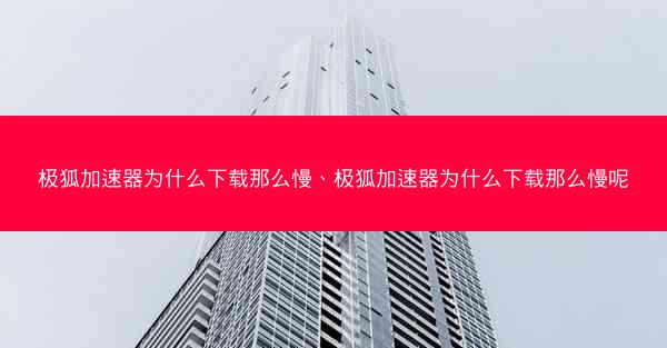 极狐加速器为什么下载那么慢、极狐加速器为什么下载那么慢呢
